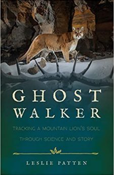 Book cover for Ghostwalker: Tracking a Mountain Lion’s Soul Through Science and Story
