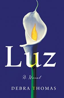 Book cover for An Interview with Debra Thomas, Author of Luz